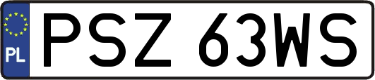 PSZ63WS