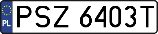 PSZ6403T