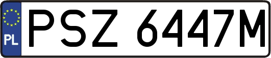 PSZ6447M