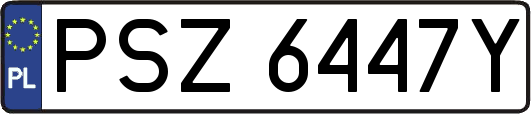 PSZ6447Y