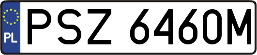PSZ6460M