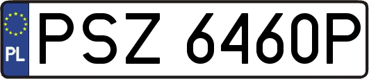 PSZ6460P