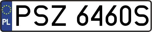 PSZ6460S