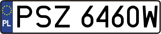 PSZ6460W