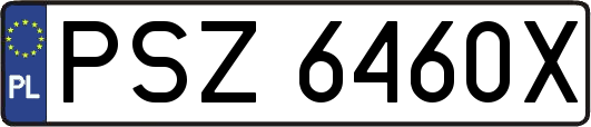 PSZ6460X