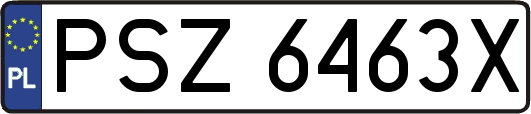 PSZ6463X