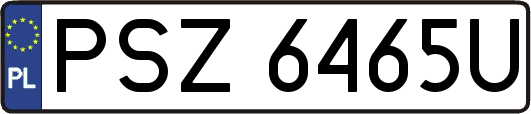 PSZ6465U