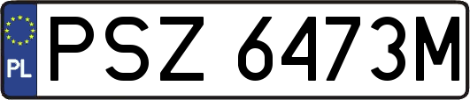 PSZ6473M