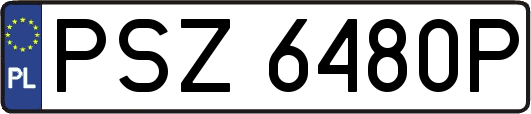 PSZ6480P