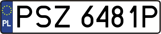 PSZ6481P
