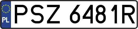 PSZ6481R