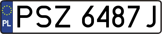 PSZ6487J