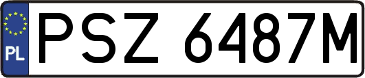 PSZ6487M