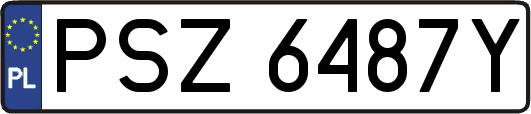 PSZ6487Y