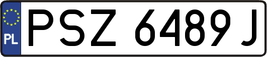 PSZ6489J