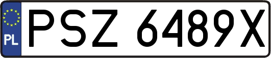 PSZ6489X