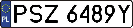 PSZ6489Y