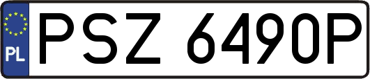 PSZ6490P