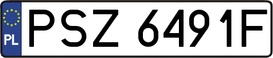 PSZ6491F