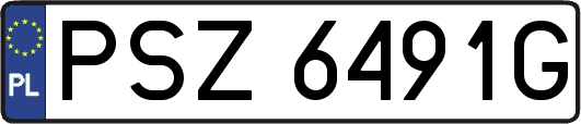 PSZ6491G