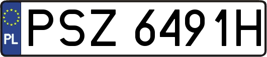 PSZ6491H