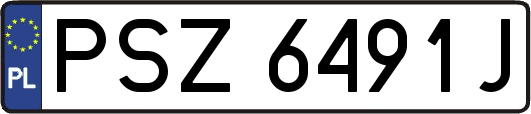 PSZ6491J