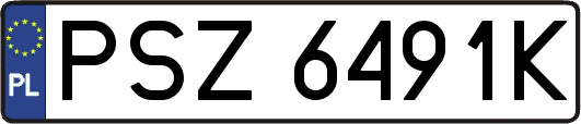 PSZ6491K