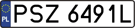 PSZ6491L
