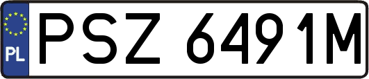 PSZ6491M