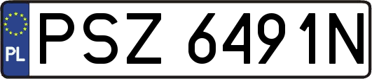 PSZ6491N