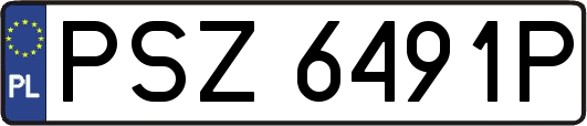 PSZ6491P