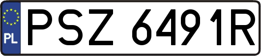 PSZ6491R