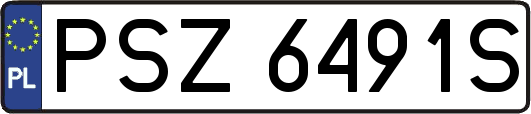 PSZ6491S