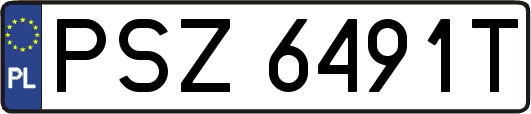 PSZ6491T