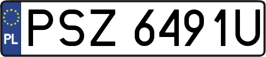 PSZ6491U