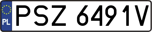 PSZ6491V