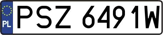 PSZ6491W
