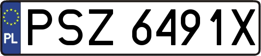 PSZ6491X