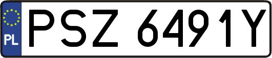 PSZ6491Y
