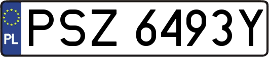 PSZ6493Y