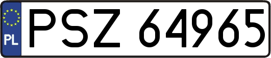 PSZ64965