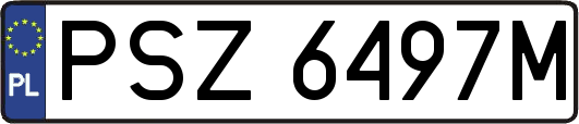 PSZ6497M