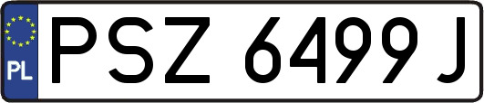 PSZ6499J