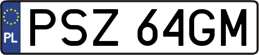 PSZ64GM
