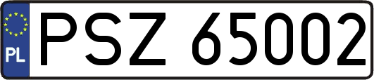 PSZ65002
