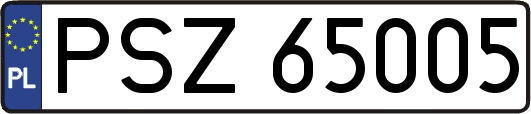 PSZ65005