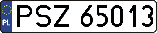 PSZ65013