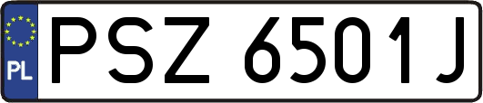 PSZ6501J