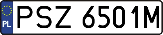 PSZ6501M