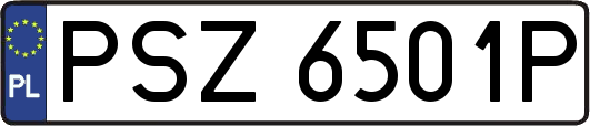 PSZ6501P